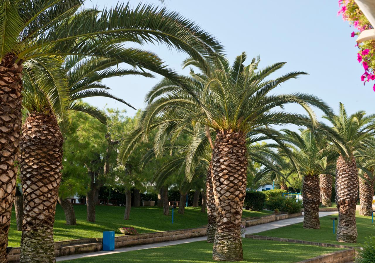 מונופולי Corvino Resort מראה חיצוני תמונה